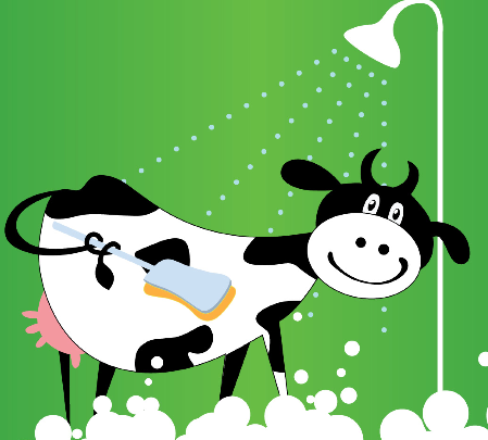 cattleclazz's profile picture. Shampoo for Cows & Buffalos