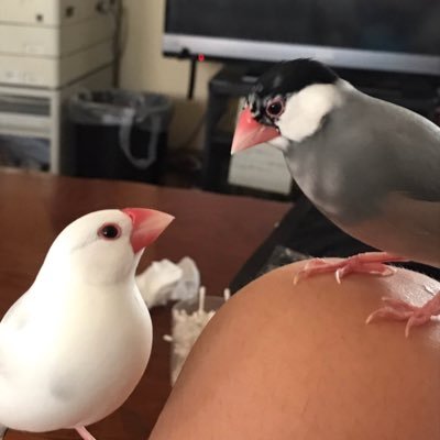 こんにちは ミッチーです❗️20⬆️です。アルジャン大好き‼️推しはハッチャンです‼️無言フォローします!よろしく〜^ ^