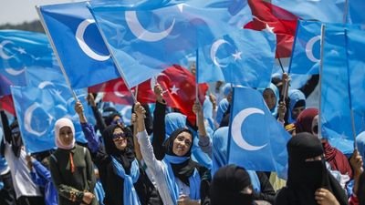 mira58425306's profile picture. meme