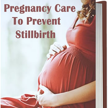 PREGNANCY CARE TO PREVENT STILLBIRTH proffers measures a pregnant woman can take to reduce her risk of having a stillborn baby.