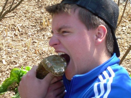 HolySchmerr's profile picture. Missouri Army National Guard, Patriot to the core. I love my country and my schmerr :P