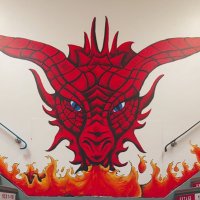 DragonsOnFire@NMS(@NMSDragons) 's Twitter Profile Photo