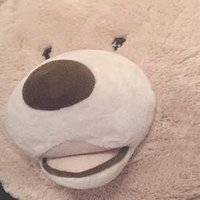 おか。 (@oka1118da_) 's Twitter Profile Photo