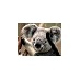Interact Medical (@ukmedical) Twitter profile photo Interact Medical (@ukmedical) Twitter profile photo