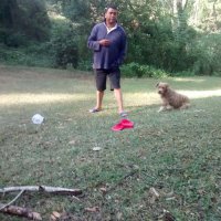 Leobardo Guerra (@f8d545d85ad1455) 's Twitter Profile