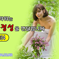 무지개플라워 꽃배달 (@asdfzxcv014) 's Twitter Profile