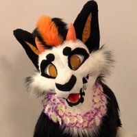 Lyra531 🔜 FWA (@lyra531) 's Twitter Profile