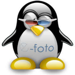 A free GNU/GPL educational digital photogrammetric workstation