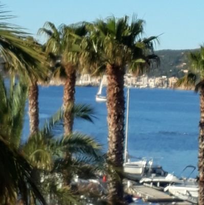 domalexmarie's profile picture. 