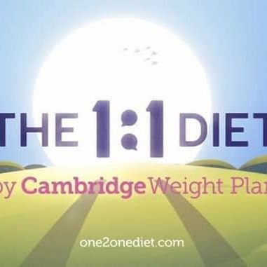 1:1 Diet with Debby Lawrence