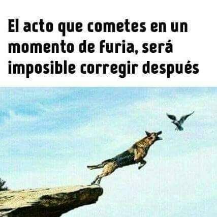 Robert93243271's profile picture. Devercion