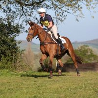 Flora Harris (@fheventing) 's Twitter Profile