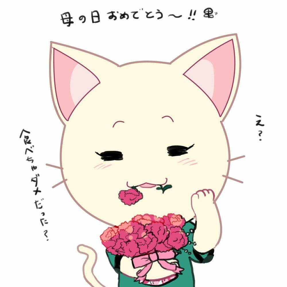 もみきちさんのプロフィール画像