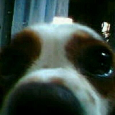 清水啓介 Keisukernb Twitter