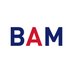 British Academy of Management (@bam_ac_uk) Twitter profile photo