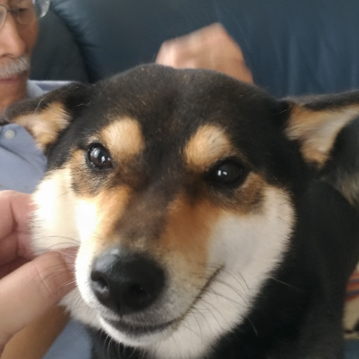 OnsenPa's profile picture. ・英語は勉強中、難しい！（I’m studying English）
＜プラモ中心アカ（遅速）。VTuber関係もありの日々雑多＞
ガンプラの積みがガチやばい。HGマクロス系のせいで積みがまた増え始めている。無限の空間が欲しい。
あとワンコ、大型犬が特に好き！無言フォローはお許しを。
※ゲーム系はBlueskyに分離