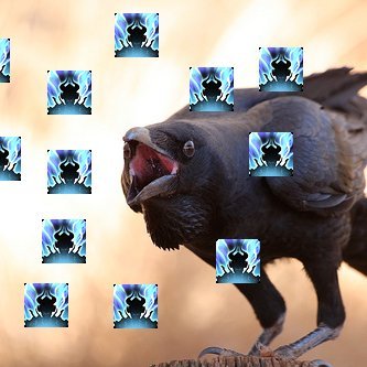 🐦 roe of judgement 🐦さんのプロフィール画像