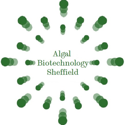 Algal Biotechnology Sheffield. 
A student-led group @sheffielduni for algae enthusiasts!