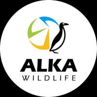 Alka Wildlife (@alkawildlife) 's Twitter Profile