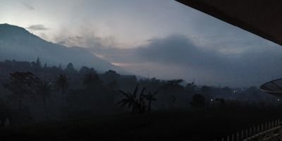 donijaua's profile picture. donijaua