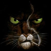 @bricedutheil.bsky.social 🦋 🇪🇺🇺🇦💉 (@bricedutheil) 's Twitter Profile Photo