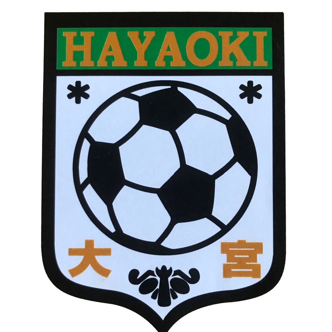 Hayaoki_SSS Profile Picture