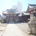 柏神社 (@kashiwajinja) Twitter profile photo 柏神社 (@kashiwajinja) Twitter profile photo