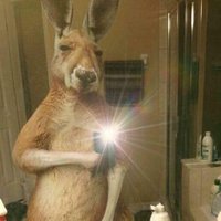 Chris Furlough (@chris_furlough) 's Twitter Profile