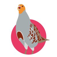 PARTRIDGE network(@PARTRIDGE_net) 's Twitter Profile Photo