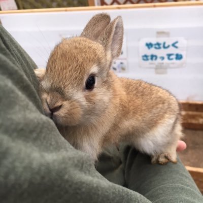 EDSIVnFyn7UIFfv's profile picture. 遂に看護マスター！