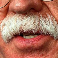 John Bolton's Mustache ™️(@boltonsstache69) 's Twitter Profile Photo