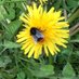 Joanne Garforth (@jogarfie) Twitter profile photo Joanne Garforth (@jogarfie) Twitter profile photo