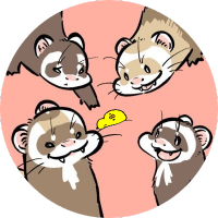 もこきち（アニマル垢） (@mocokitty) Twitter profile photo