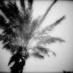SouthFloridaDaily (@sfdaily) Twitter profile photo