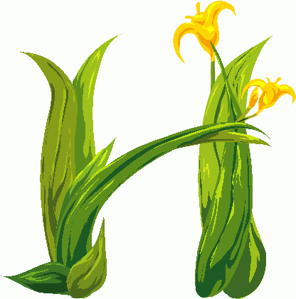 HussainSethiya's profile picture. 