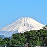 Masa11511's profile picture. 静岡県在住の40代のしがない管理職。
近い将来の独立に向けて日々奮闘中❗
ライブ(GOING UNDER GROUND、坂本サトルetc.)や、旅行、そして猫ちゃんを栄養にしながら日々生活してます😄
2021年7月から猫ライフ開始🐱😺