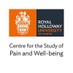 PainResearchRHUL (@rhulpain) Twitter profile photo