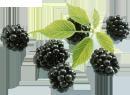 This site always provide something best about lose weight.
http://t.co/YiZtXk8n1i