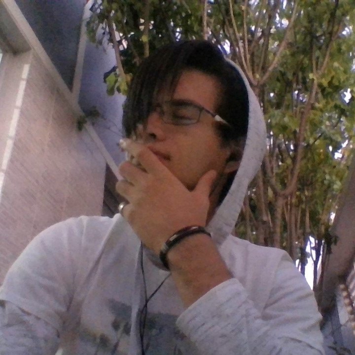Filipe_tr's profile picture. 