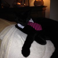 phil rathbone (@phil_rathbone) 's Twitter Profile