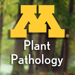 University of Minnesota, Department of Plant Pathology: A world leader in the area of plant health. #plantdisease #plantpath #plantpathology #planthealth @CFANS