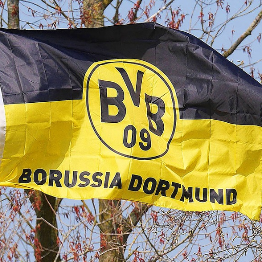 #Dortmund #Online: #News, #Events, #Sport, #Vereine, #Clubs, #Firmen, #Menschen, #Webseiten, #Instagram