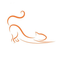 All About Cats Veterinary Hospital(@AllAboutCatsVet) 's Twitter Profile Photo