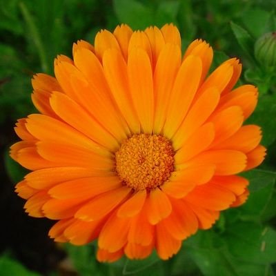 YolandaAbril1's profile picture. Candidata de @CiudadanosCs en #Griñón.