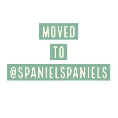 this account has moved to @SpanielSpaniels , please come follow along with my adventures there! 💚💚💚