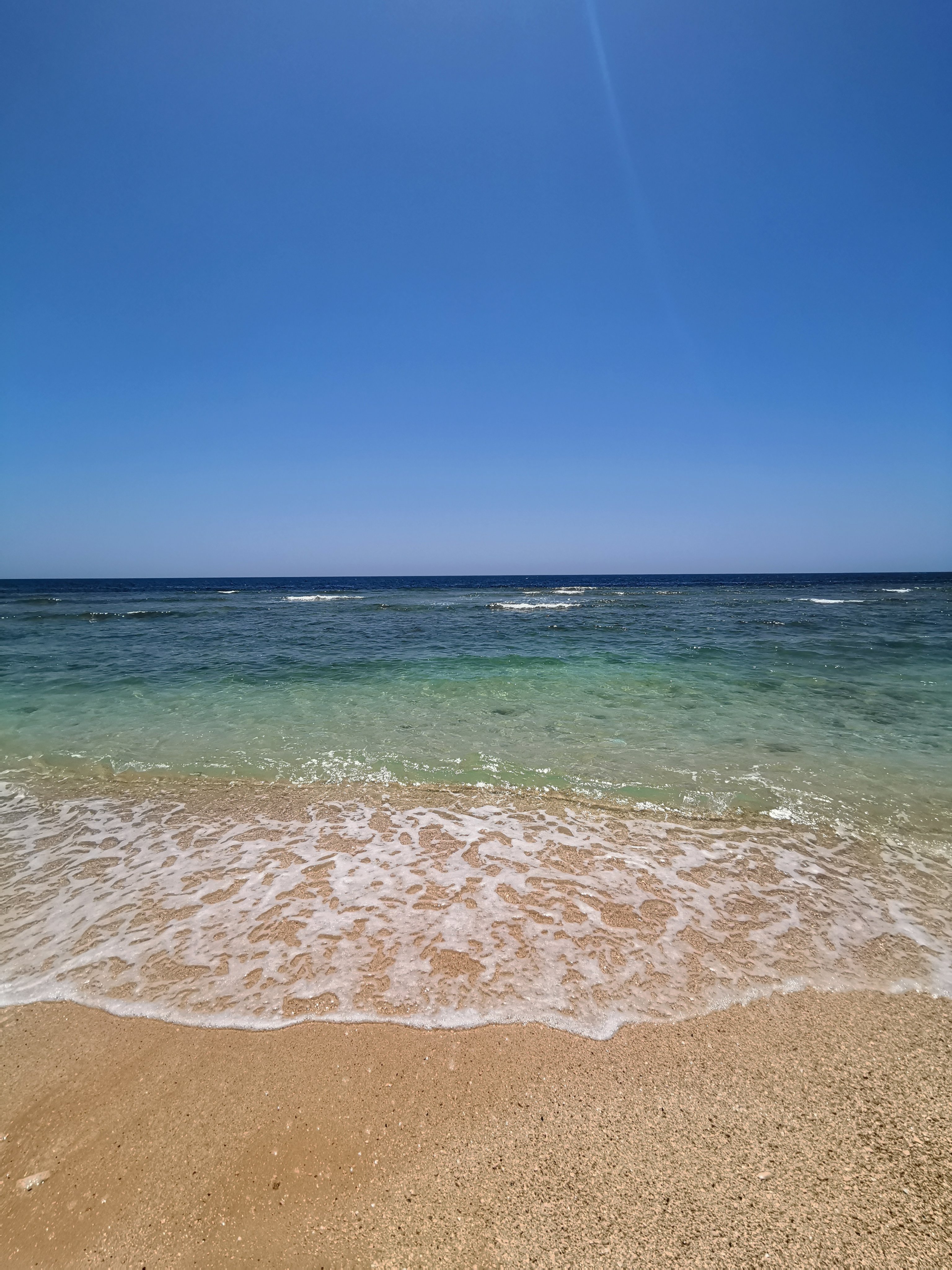 Turkik19's profile picture. 