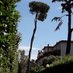 Carlo Bianconi (@carlobianconi7) Twitter profile photo Carlo Bianconi (@carlobianconi7) Twitter profile photo