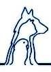 We are a 4 doctor practice that focuses on small and exotic animals.