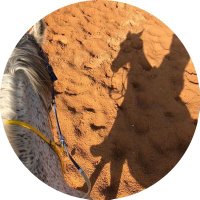 ๐ (@ssooly_a) 's Twitter Profile