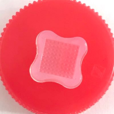 Roberta Stilhano’s Lab Profile